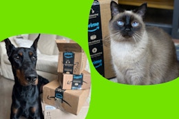 amazon-pet-deals-1