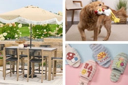Walmart Rollbacks on Pet Toys, Patio Picks, Shoes, and More card image
