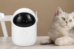 Cat laying next to Automatic Cat Laser Toy