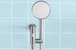shower head