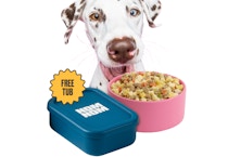Nom Nom Fresh Dog Food