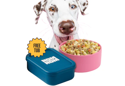 Nom Nom Fresh Dog Food