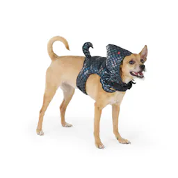 Halloween Scorpion Dog Costume