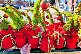 grump trees on store rack