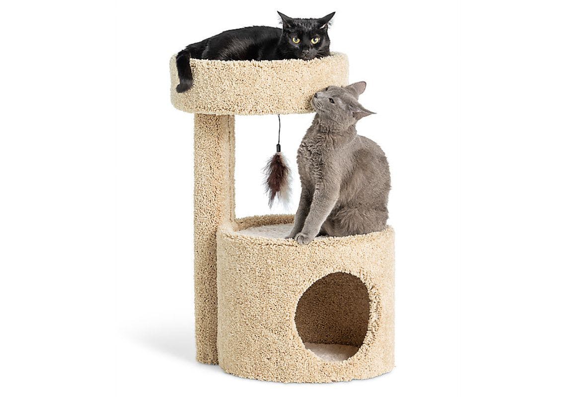 Whisker City Cat Condo