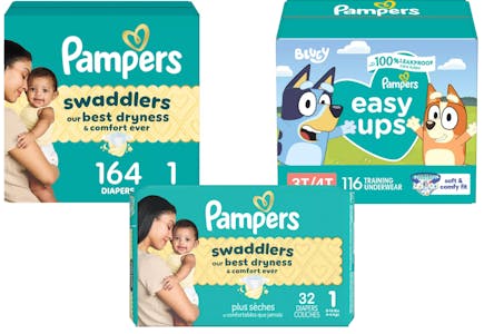2 Pampers Diapers + 1 Training Pants