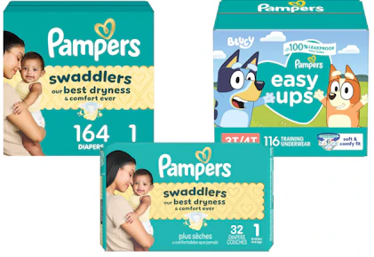 2 Pampers Diapers + 1 Training Pants