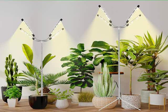 Grow Lights With Stand, Just $20 on Amazon card image