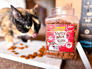 a cat next to a container of cat treats in front of an Amazon box