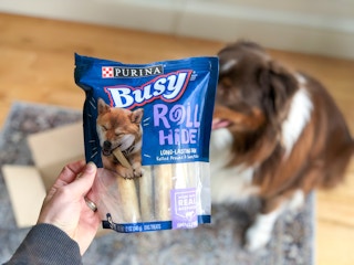 amazon purina busy roll hide 3 1647285694 1647285694