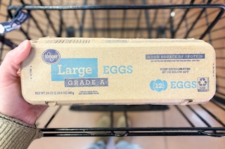 hand holding a carton of kroger eggs