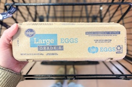 hand holding a carton of kroger eggs