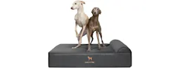 NOAH & PAW Orthopedic Dog Bed