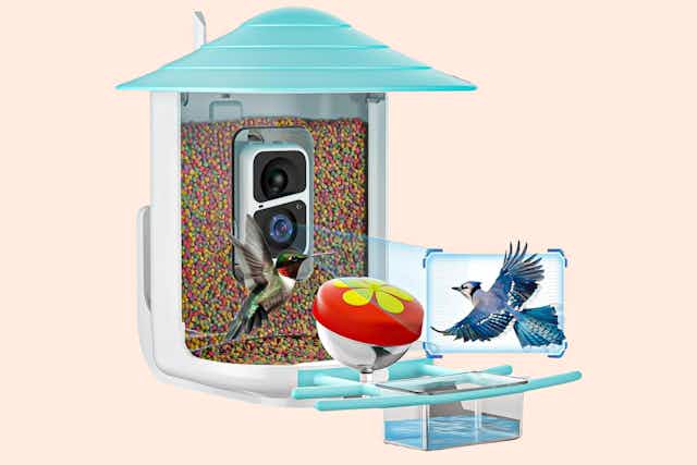 Get a Camera Bird Feeder at Walmart for Only $85 on Clearance card image