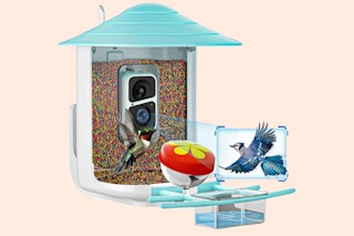Lifestyle/stock image of Naipo Smart Solar Bird Feeder recording a bird