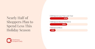 Survey results shoppers spending less 2025 holidays