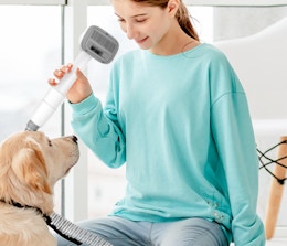 Pet Grooming Vacuum Kit, Dropped to $39.99 on Amazon card image