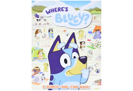 Search-and-Find Book