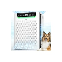 Air Purifier for Home Large Room
