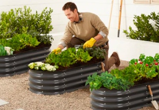BCP-raised-garden-bed-sale-may-2023