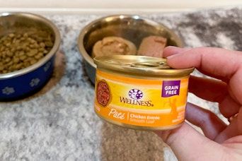 wet cat food
