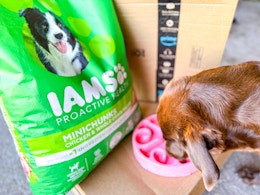 a green bag of dog food next to a dog eating out of a bowl 
