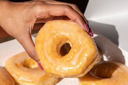 shipley donuts classic glazed