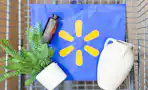 walmart home items in a cart