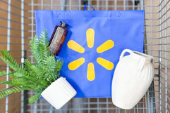 walmart home items in a cart