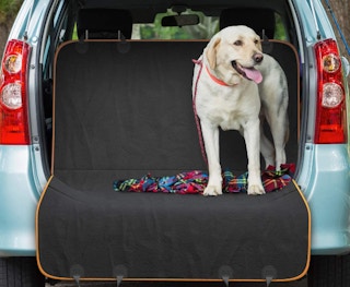 pet-car-seat-cover-amazon