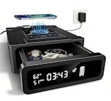 Biometric Smart Safe