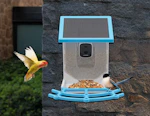 Solar Powered Bird Feeder