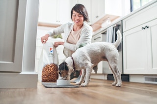 petsmart hill science diet 1614286128 1614286128