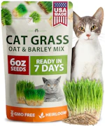Cat Grass Seeds
