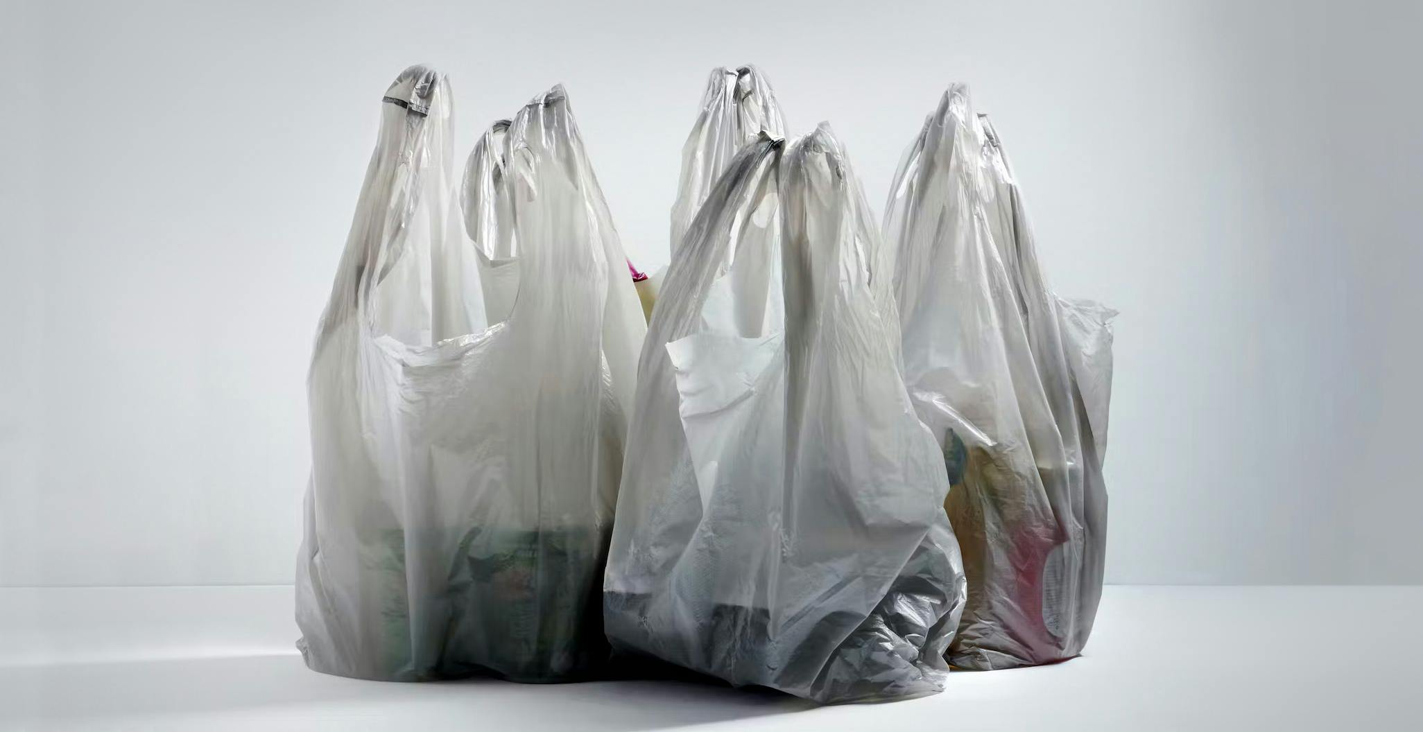 These States Ban Single Use Plastic Shopping Bags Or Charge For Them The Krazy Coupon Lady
