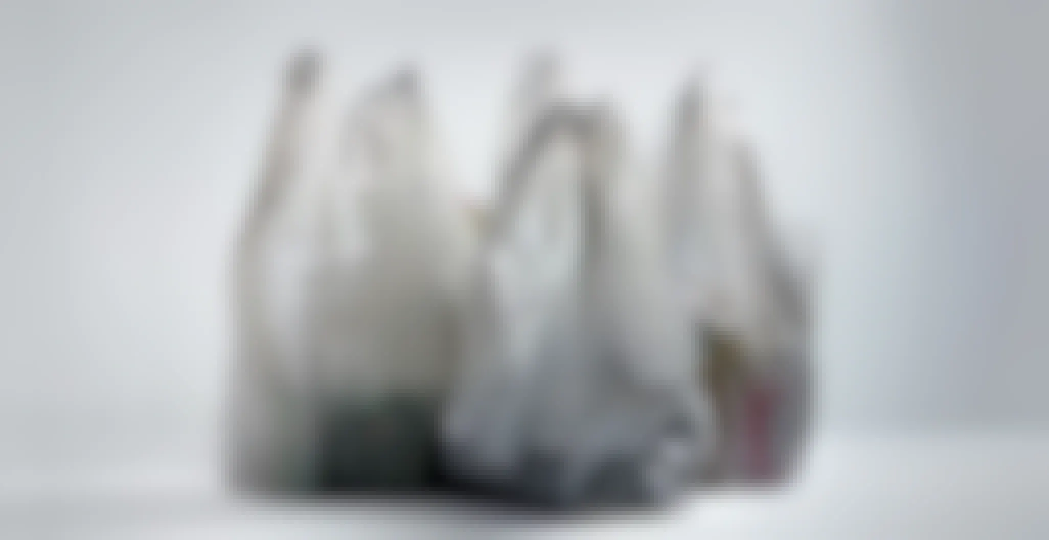 These States Ban Single-Use Plastic Shopping Bags (or Charge for Them)