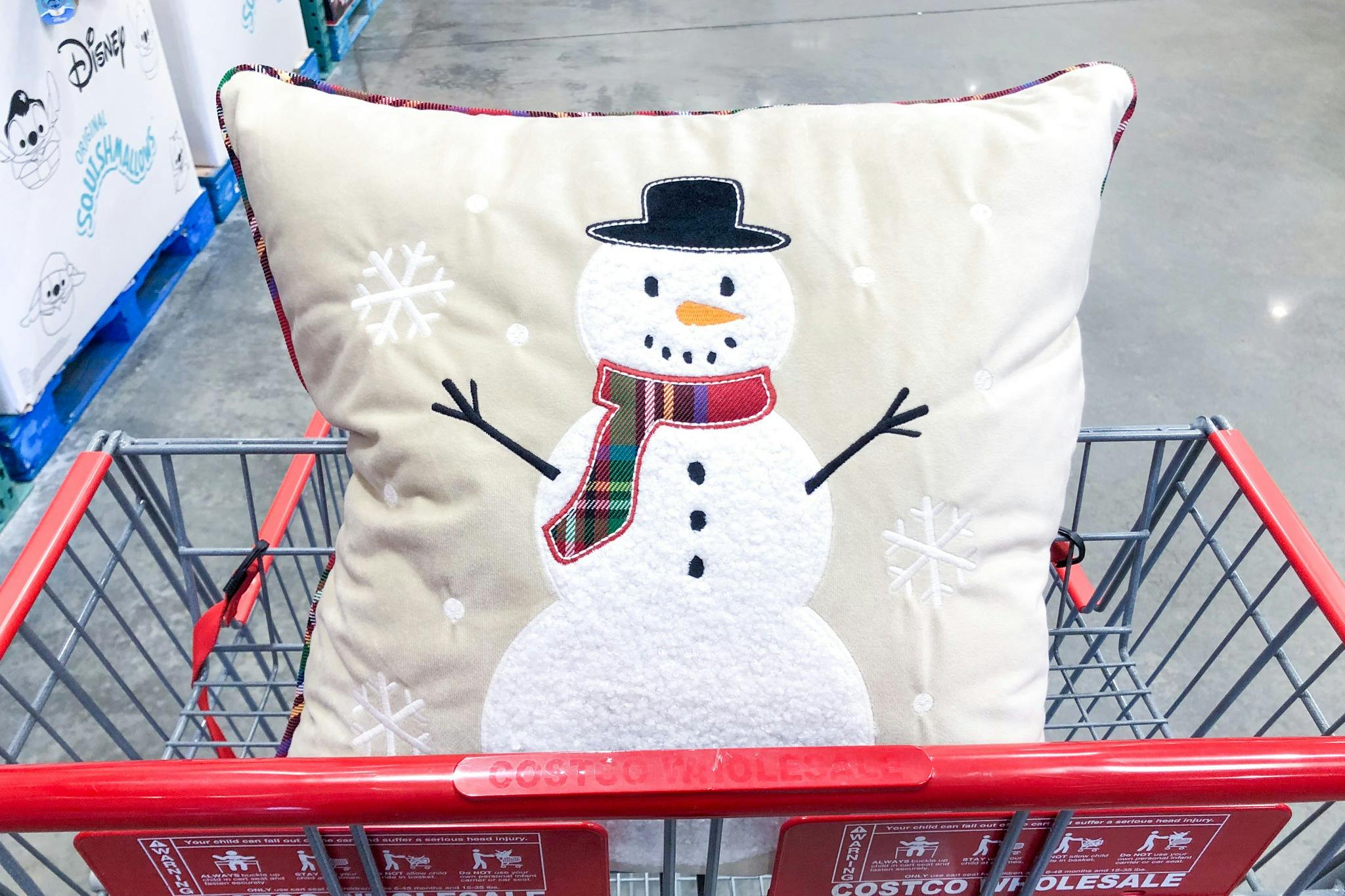 https://content-images.thekrazycouponlady.com/nie44ndm9bqr/7rFlTclAN8flOtIAFTQVvk/142c72fd1ac4a409d585a7b1b4419186/costco_brentwood_holiday_pillows_2.jpg