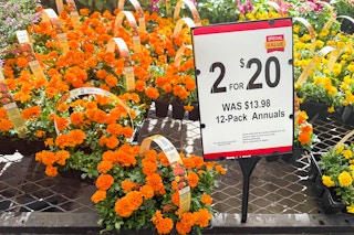 lowes-spring-black-friday-april-2025-12-pack-annuals-flowers-kcl