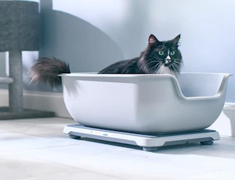 a cat sitting in a smart litter box