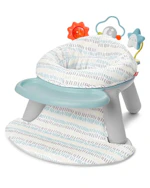 Skip Hop 2-in-1 Activity Baby Chair