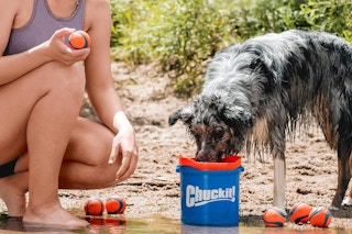 a woman and dog playing with the chuckit ball bundle