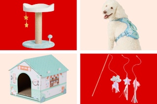 petsmart accessories 4-photo collage