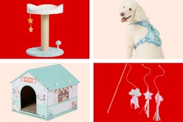 petsmart accessories 4-photo collage
