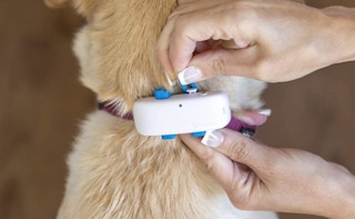 pet-tracker-amazon