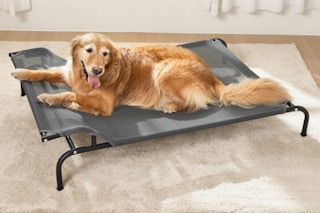 Elevated Dog Bed and Cooling Mat (1)
