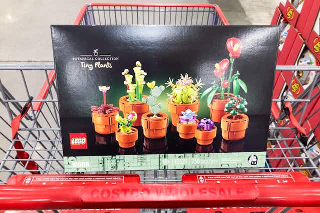 Lego Icons Tiny Plants, Just $36.99 at Costco card image