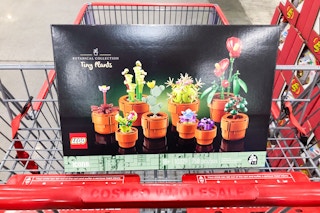 costco lego icons tiny plants