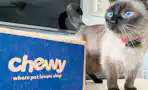 A Chewy box sitting on a counter next to a cat that is looking up to the side.