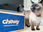 A Chewy box sitting on a counter next to a cat that is looking up to the side.