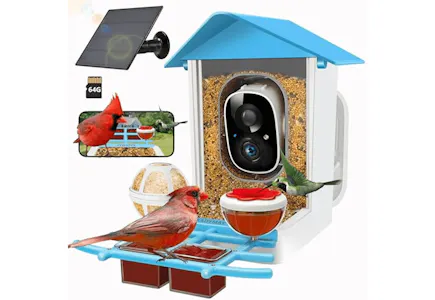 Smart Bird Feeder With Camera